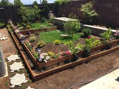 a garden with lots of flowers and plants in it