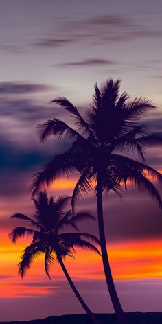 two palm trees are silhouetted against an orange and blue sunset on the ocean shore