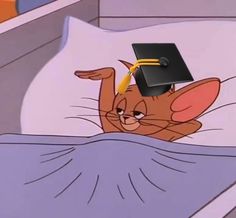 a cat in a graduation cap laying on top of a bed