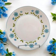 an empty plate with blue flowers around it