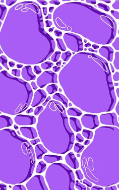 an animal cell is shown in purple and white