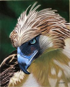 a painting of a bird with blue eyes and brown feathers on it's head