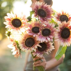 a woman holding a bouquet of sunflowers in her hands