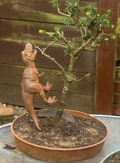 a small tree that is sitting in a potted planter on top of a table