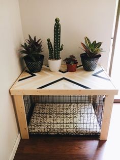 three potted plants on top of a wooden table