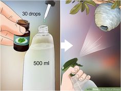 how to make an insect repellent with pictures