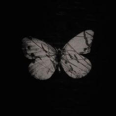 a black and white photo of a butterfly in the dark with only one wing visible