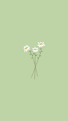 three daisies on a green background with the words, i love you in white