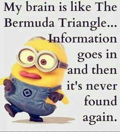 a minion with glasses and a caption that says, my brain is like the bermuda triangle information goes in and then it's never found again again again again