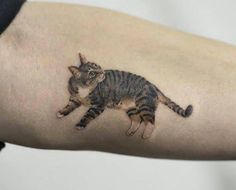 a small cat tattoo on the arm