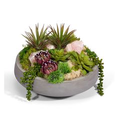 an arrangement of succulents and other plants in a concrete bowl on a white background