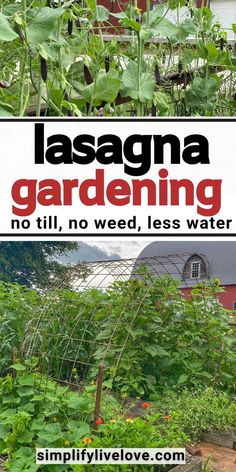 a garden with lots of plants growing in it and the words lasagna gardening