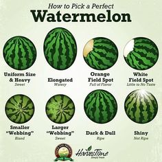 how to pick a perfect watermelon for every type of fruit you've ever picked