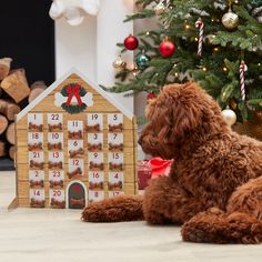 Fill Your Own Dog Advent Calendar Rustic Advent Calendar, Cat Advent Calendar, Reusable Advent Calendar, Advent Calendar Kit, Advent Calendar Boxes, Cardboard Christmas, Calendar Kit