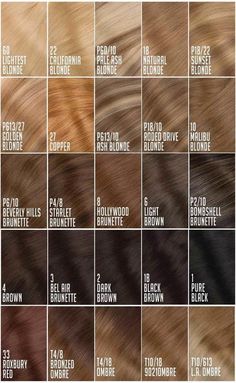 Hair Chart, Hair Lights, Cashmere Hair, Different Shades Of Brown, Red Things, Colored Hair Extensions