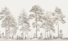 a drawing of some trees in the woods