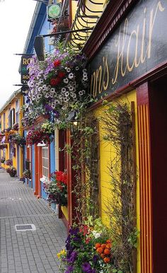 flowers are hanging from the side of buildings