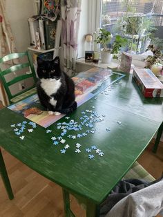 a black and white cat sitting on top of a green table next to a window