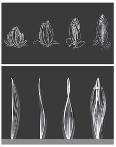 an image of different shapes and sizes of flowers