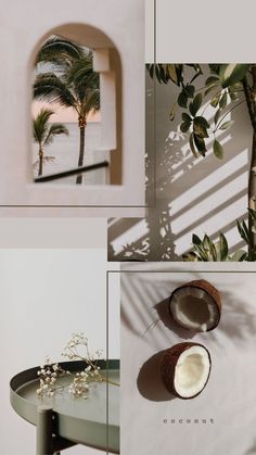 coconuts and palm trees are shown in this collage