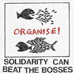 a sign that says, organe solidarity can beat the boss's fish count