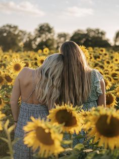 Two girls leaning their heads together in a sunflower field wearing dresses. Friends Sunflower Photoshoot, Mother Daughter Sunflower Photoshoot, Sunflower Picture Poses, Senior Sunflower Pictures, Flower Patch Photoshoot, Best Friend Sunflower Photoshoot, Sunflower Field Photoshoot Senior Pics