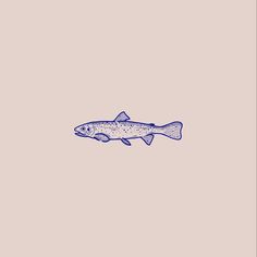 a drawing of a fish in blue ink on a light pink background, with the word's name below it