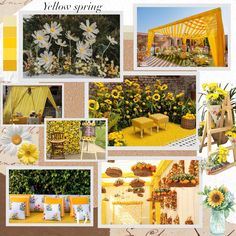 a collage of yellow and white pictures with flowers in vases on the floor