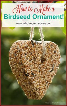 a bird feeder hanging from a tree with the words how to make a birdseed ornament