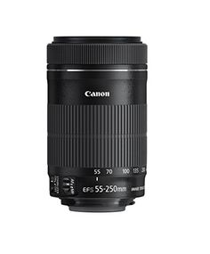 the canon ef 55 - 250mm lens