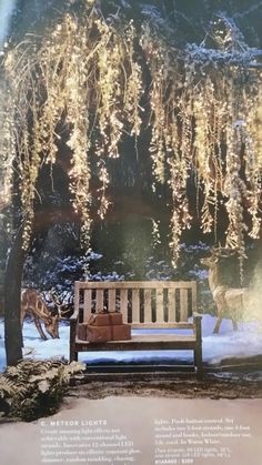 an image of a bench in the snow with lights hanging from it's branches