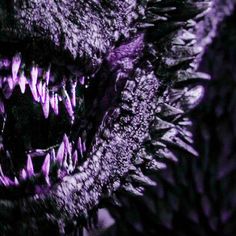 an animal with sharp teeth is shown in the dark purple hued image, which appears to be close up