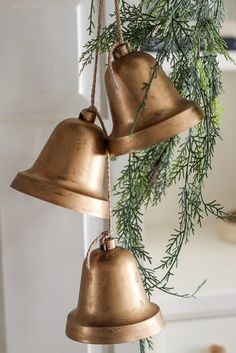 two brass bells hanging from a tree branch