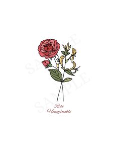 a red rose on a white background with the words roses in spanish written below it