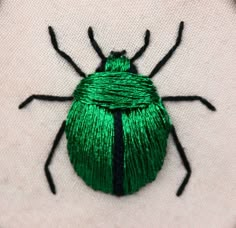 an image of a green bug on the screen