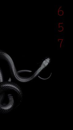 a black and white snake with red numbers on it's back side in the dark