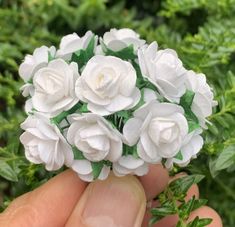 a hand holding a small bouquet of white flowers