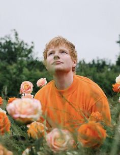 a boy in an orange shirt is sitting in a field of flowers