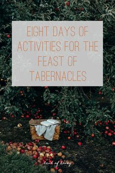 an apple orchard with apples and the words eight days of activities for the feast of tabernacles