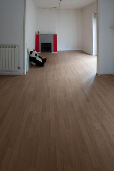 a panda bear laying on the floor in an empty room