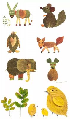 an image of different animals and plants