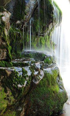 a man standing in front of a waterfall with green moss growing on it's sides