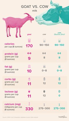 an info sheet showing the different types of cows and their names in pink, blue, and