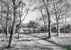 black and white drawing of a park with trees