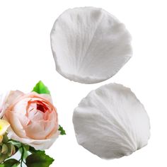 two white flowers and one pink flower on a white background