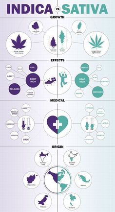 the world's most famous cities are depicted in this infographtion poster, which includes