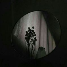 a mirror with some flowers in it