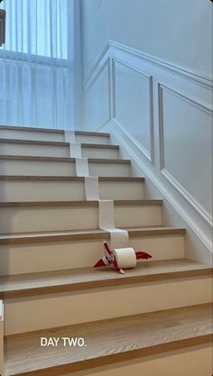 a roll of toilet paper sitting on top of a set of stairs