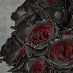 a bouquet of black and red roses