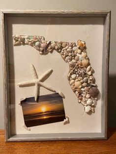 a white frame with shells and starfish on it